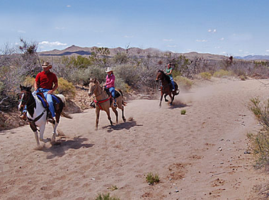 Good horses at the Stagecoach Ranch