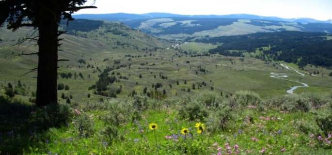 Perfect ranch holiday for families in Montana