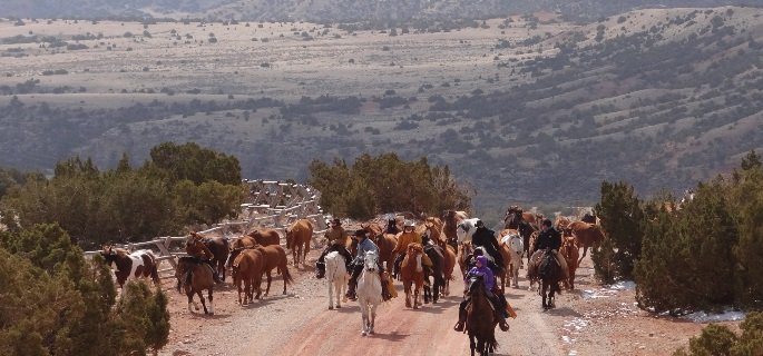 Wyoming horse drive with american round-Up