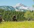 Montana luxury resort ranch with American Round-Up