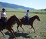 Rocking Z Ranch excellent for experienced horse riders