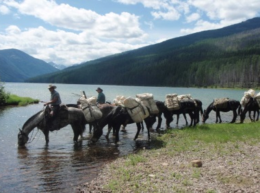 Montana pack trip