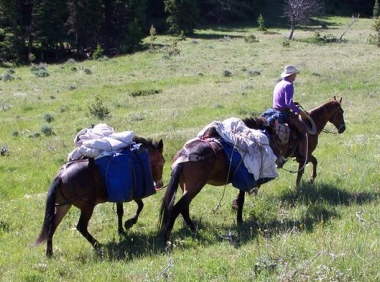 Pack trip holiday in Wyoming