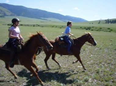 Rocking Z Ranch excellent for experienced horse riders