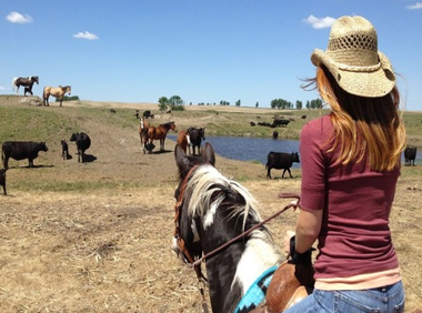 Black Leg Ranch