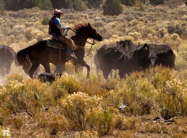 Rocking R Ranch