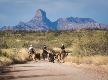 Ranch de la Osa historic ranch holiday arizona