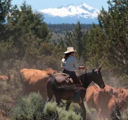Typical Oregon Rancher American Roundup