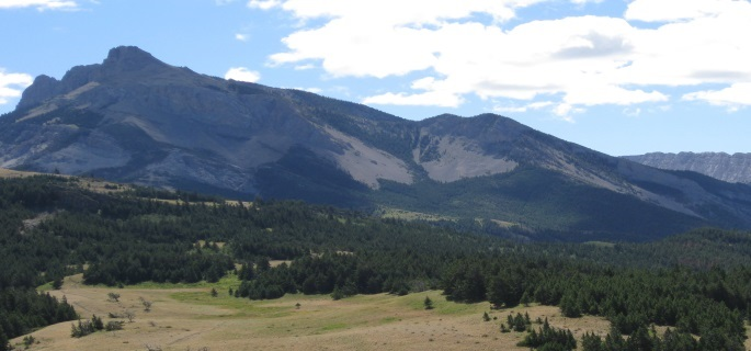 Montana guest ranch right in the mountains with excellent horses handmade cabins and pack trips