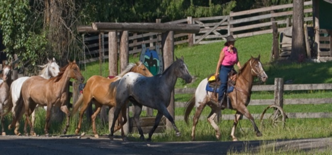 Family ranch in idaho western Pleasure