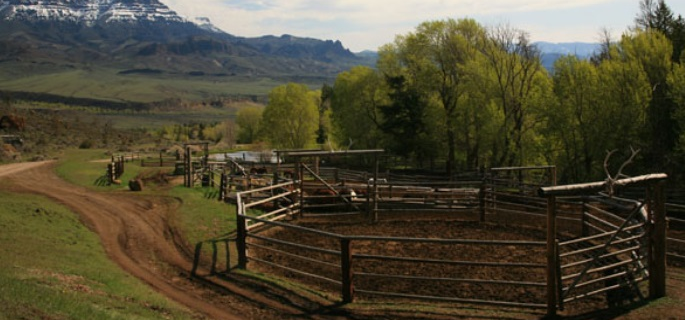 Wyoming family ranch holiday at the Rimrock Ranch