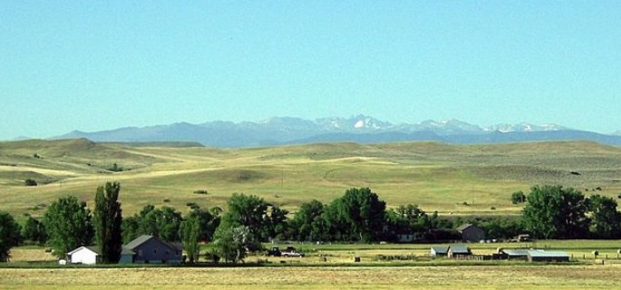 Wyoming cattle drive with American Round-Up