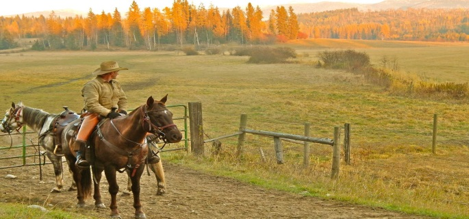 Good riding holiday in Idaho at the western pleasure