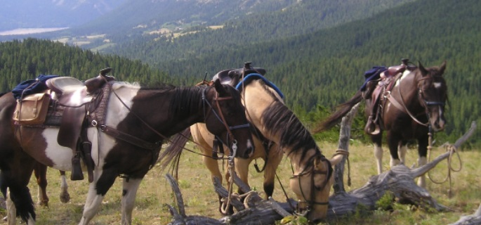 Montana pack trips from the Triple J Ranch in Montana