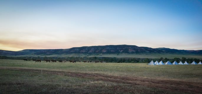 Wyoming Horse Pack trip