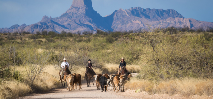 Arizona riding holiday at Ranch de la Osa 