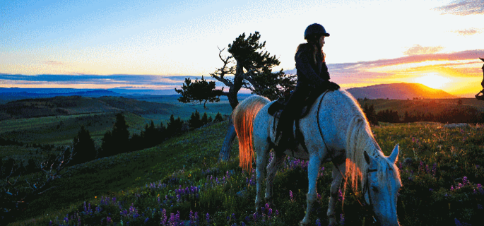 Sweetgrass Ranch Montana 