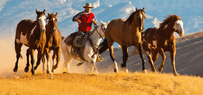 Hideout luxury cattle ranch holiday wyoming with American Round-Up