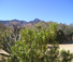 Mountains in Arizona from Elkhorn Ranch