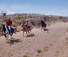 Good horses at the Stagecoach Ranch