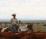 Cowboy rounding up cattle in Colorado with American Round-Up