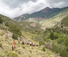 Zapata Ranch cattle drive (credit Duke Phillips)