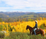 Autumn colours in colorado staying at a ranch