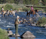 Montana fishing holiday 