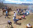 Branding cattle in Wyoming 