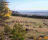 Ranch in wyoming working with cattle and good scenery