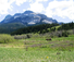 Triple J Ranch American Roundup