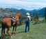 Triple J Ranch American Roundup