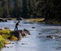 Fishing at Paws up resort in Montana