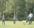 Roping at Bitterroot Ranch in Wyoming