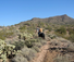 Arizona Guest Ranch Riding holiday at Kay El Bar Ranch with American Round-up