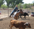 Team penning arizona ranch holiday at Kay El Bar with American Round-Up